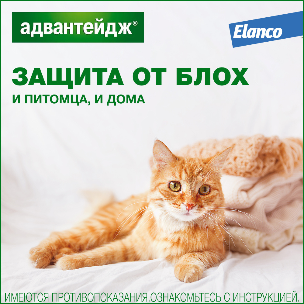 Elanco капли на холку Адвантейдж® от блох для кошек более 4 кг – 4 пипетки  | Petshop.ru