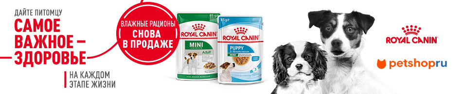 Влажные рационы ROYAL CANIN® для щенков и собак снова в продаже!