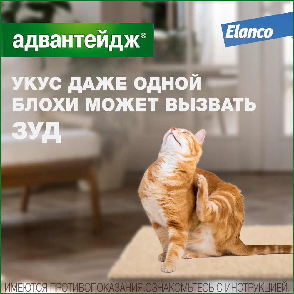 Elanco капли на холку Адвантейдж® от блох для кошек более 4 кг – 1 пипетка  | Petshop.ru