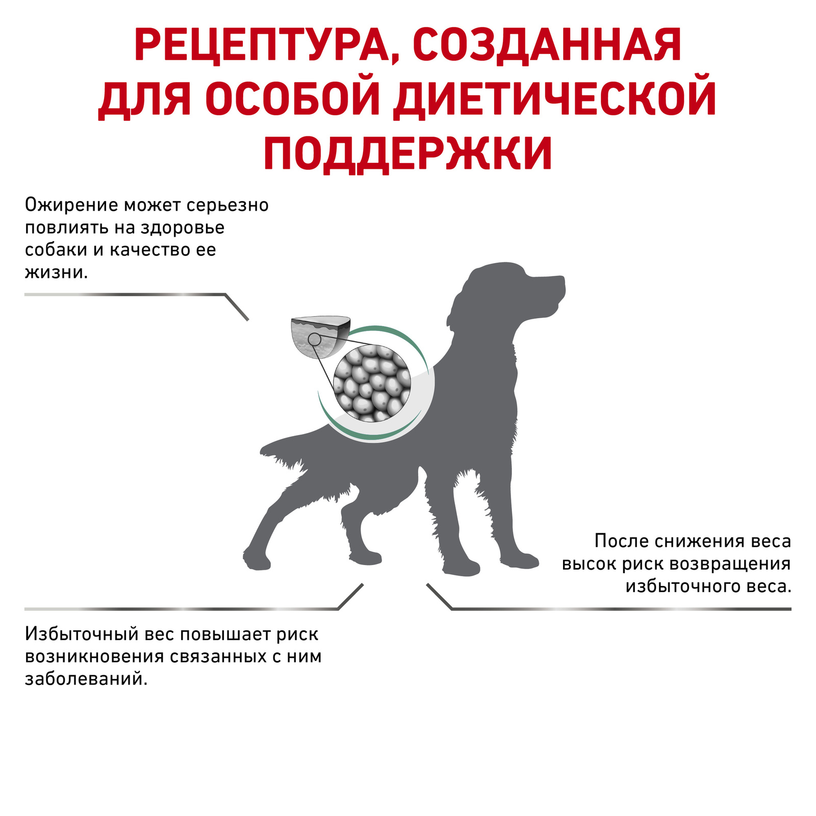 полнорационный диетический, для взрослых собак, рекомендуемый для снижения веса (1,5 кг) Royal Canin (вет.корма) полнорационный диетический, для взрослых собак, рекомендуемый для снижения веса (1,5 кг) - фото 3