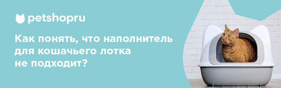 Как понять, что наполнитель для кошачьего лотка не подходит?