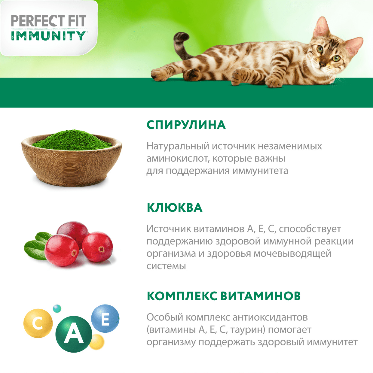 Перфект фит иммунитет сухой. Immunity кошки Перфект фит. Повышение иммунитет у кошек. Перфект иммунитет.