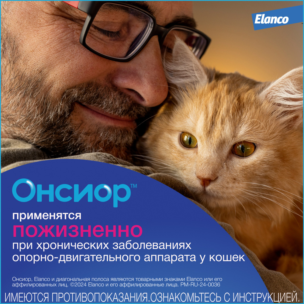 Ансиор. Ансиор