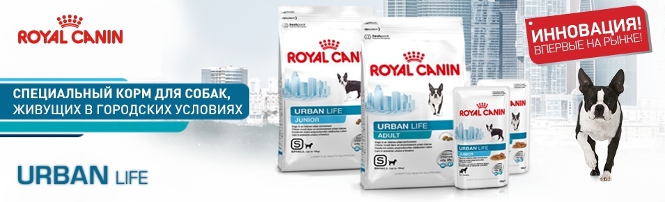 Новинка от Royal Canin! Специальный корм для собак, живущих в городских условиях!