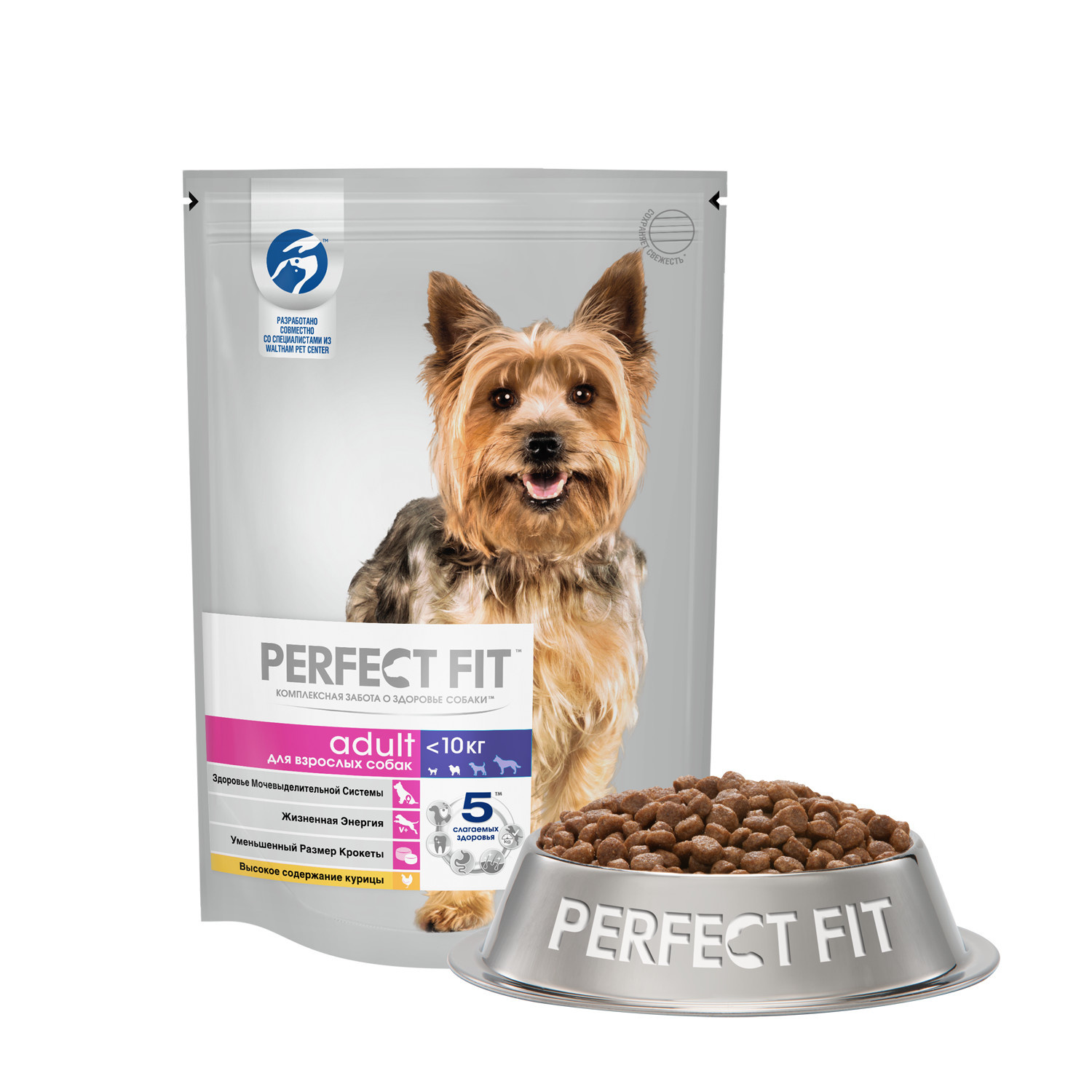 Perfect fit hot sale for dogs