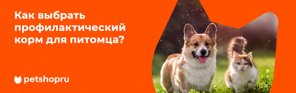 Как выбрать профилактический корм для питомца?