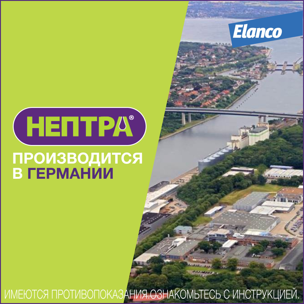 Elanco нептра® раствор для лечения наружного отита у собак | Petshop.ru