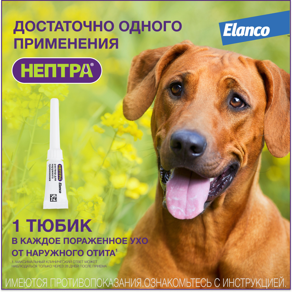 Elanco нептра® раствор для лечения наружного отита у собак | Petshop.ru