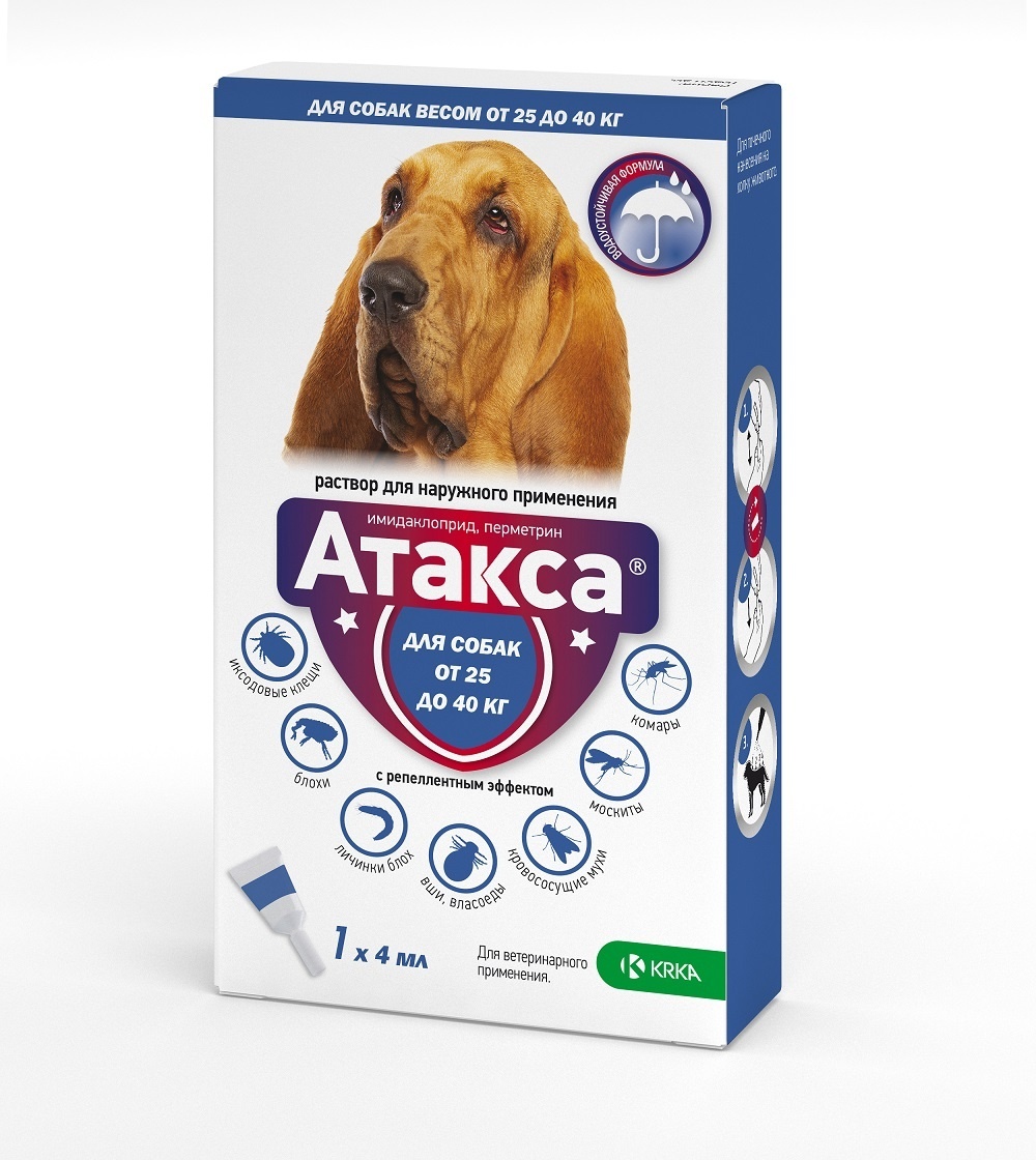 KRKA атакса, раствор для наружного применения для собак более 25 кг (110 г) KRKA атакса, раствор для наружного применения для собак более 25 кг (110 г) - фото 1