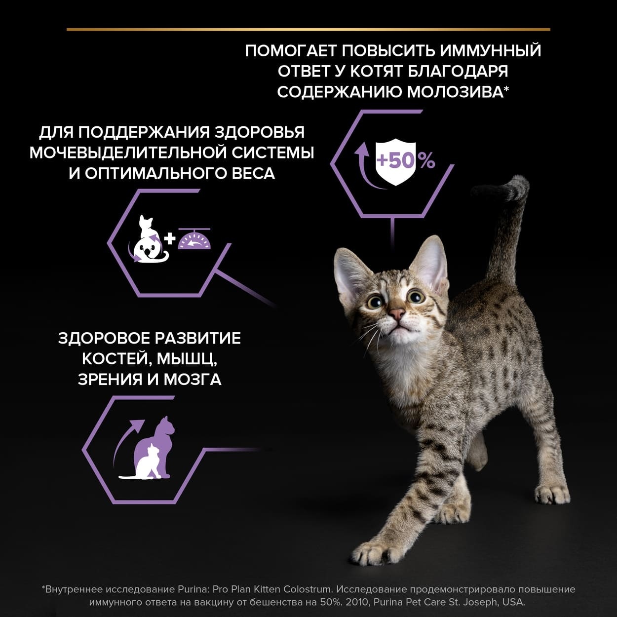 Корм Purina Pro Plan для стерилизованных котят, с высоким содержанием  лосося, Sterilised Kitten Salmon, котенку, котятам, киттен, для котенка,  котенок, котята, Kitten, сухой корм для котят, корм для котят сухой, корм  для