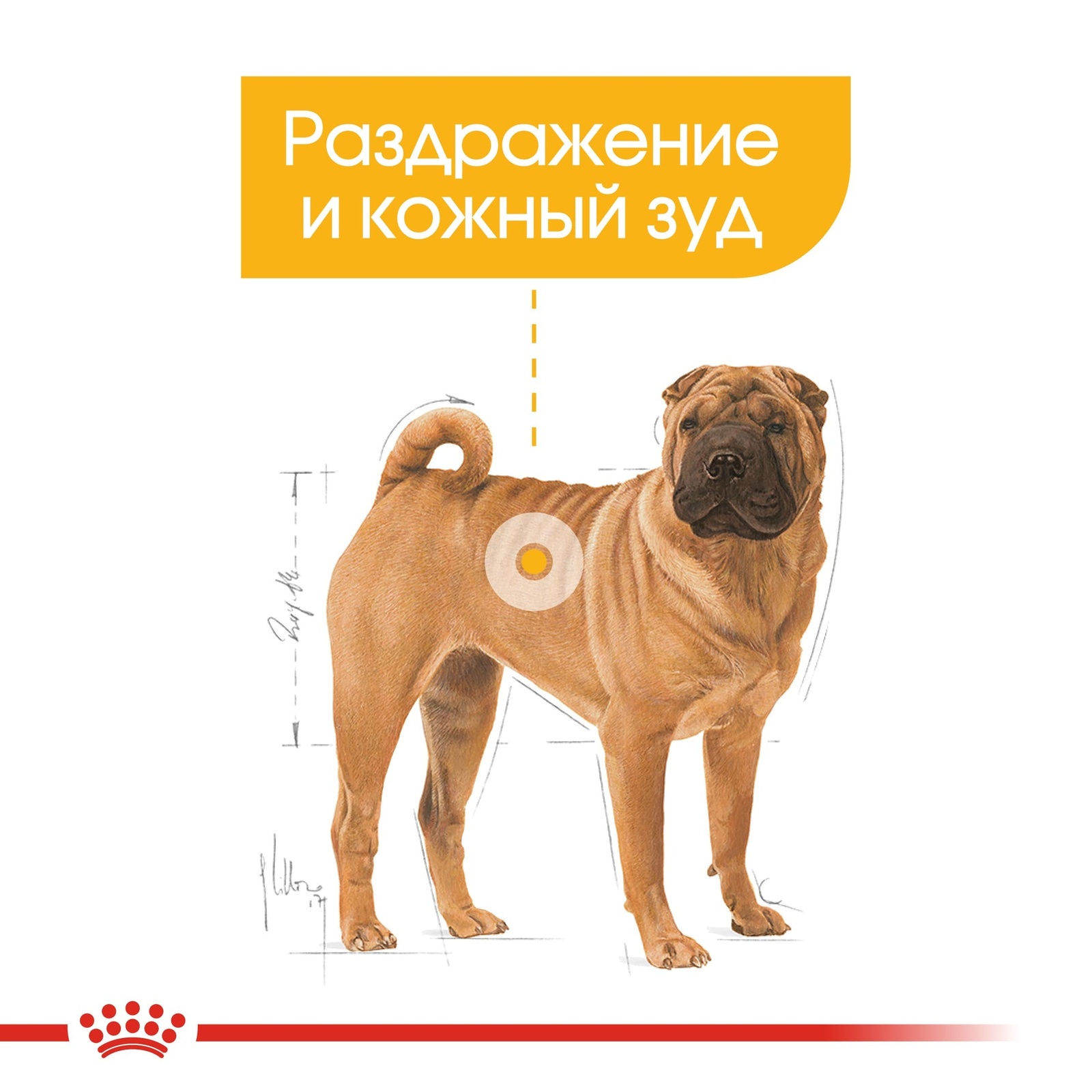 Для собак средних пород с чувствительной кожей (3 кг) Royal Canin (сухие корма) Для собак средних пород с чувствительной кожей (3 кг) - фото 4