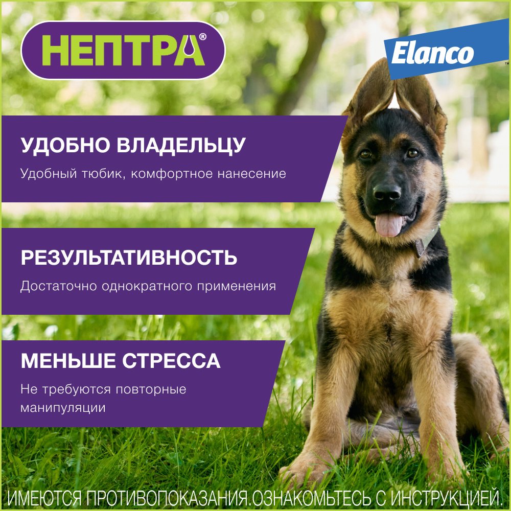 Elanco нептра® раствор для лечения наружного отита у собак | Petshop.ru