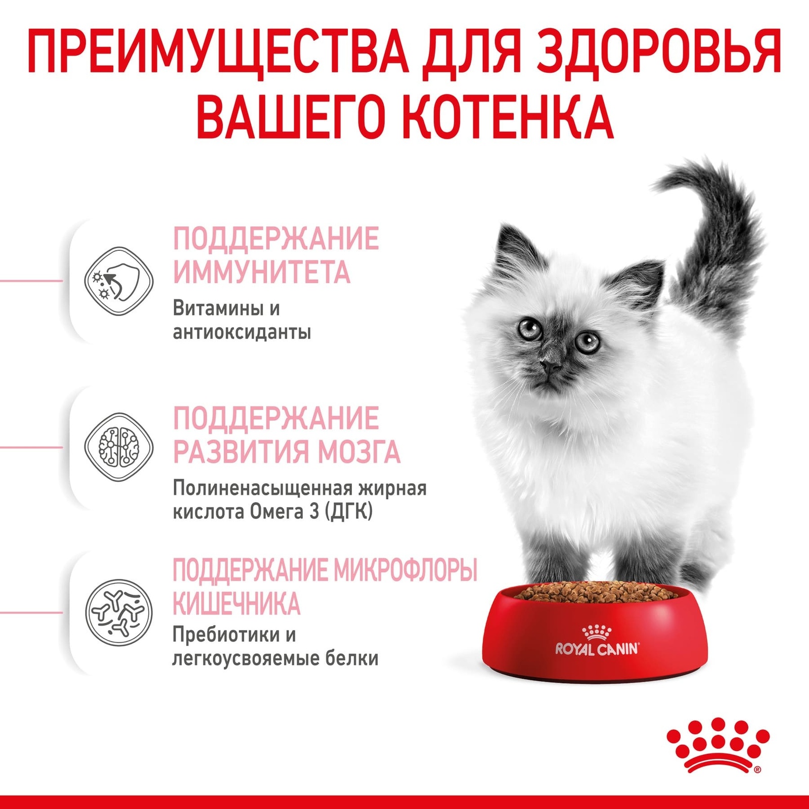 Royal Canin корм сухой полнорационный для котят в период второй фазы роста  в возрасте до 12 месяцев, роял канин для котят, royal canin для котят, роял  канин киттен, royal canin kitten, royal