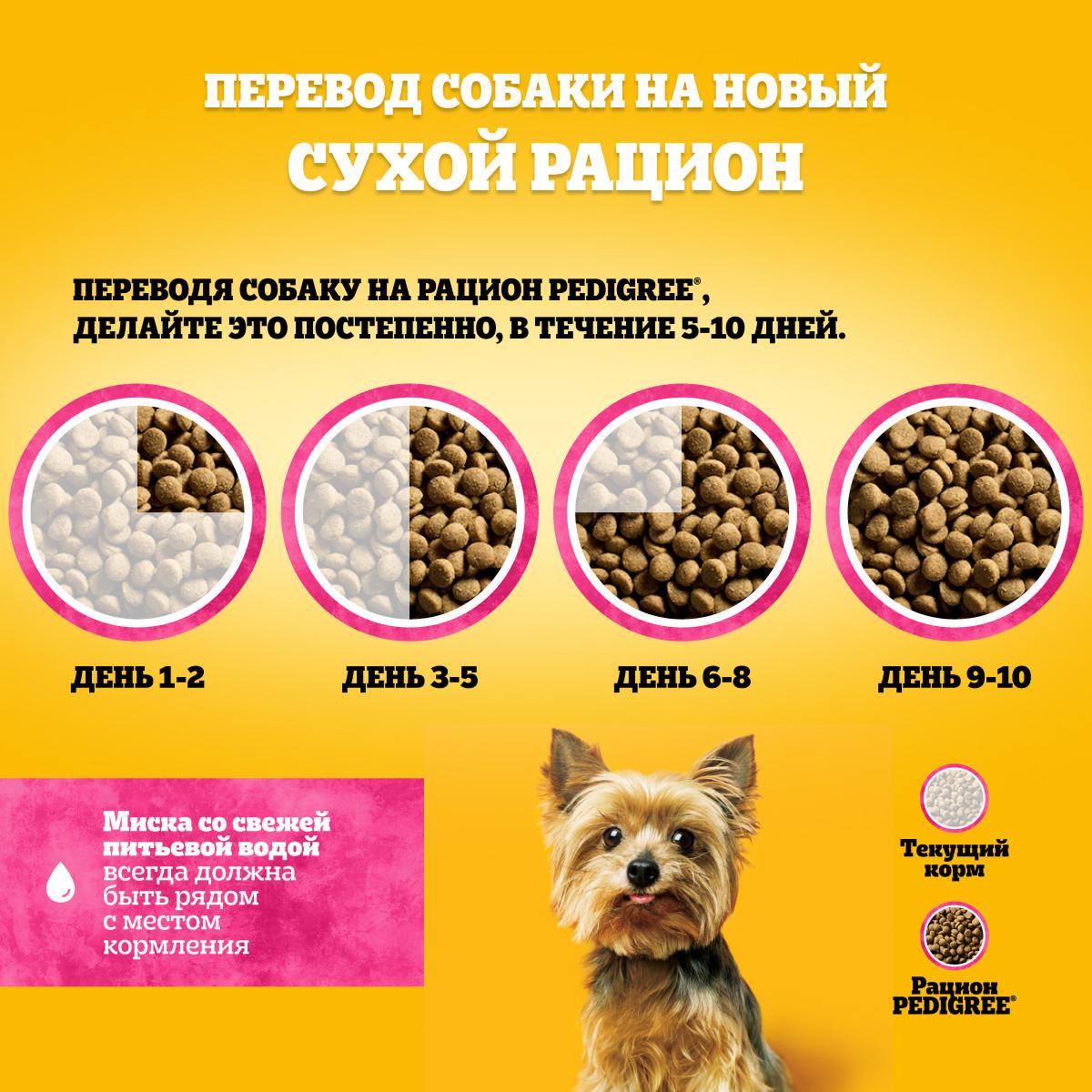 Корм Pedigree сухой корм для взрослых собак крупных пород больше 25 кг, с  говядиной, Vital Protection | Petshop.ru