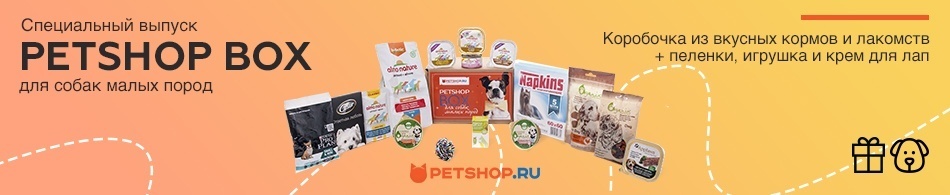 Встречайте PETSHOP BOX для собак малых пород!