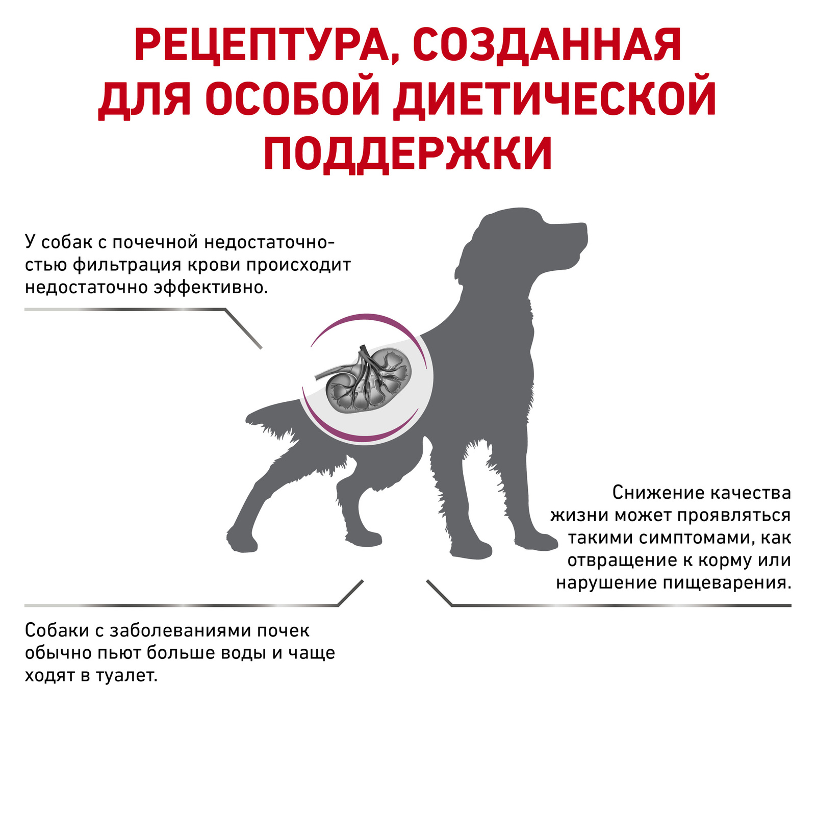 Для собак при хронической почечной недостаточности (2 кг) Royal Canin (вет.корма) Для собак при хронической почечной недостаточности (2 кг) - фото 3