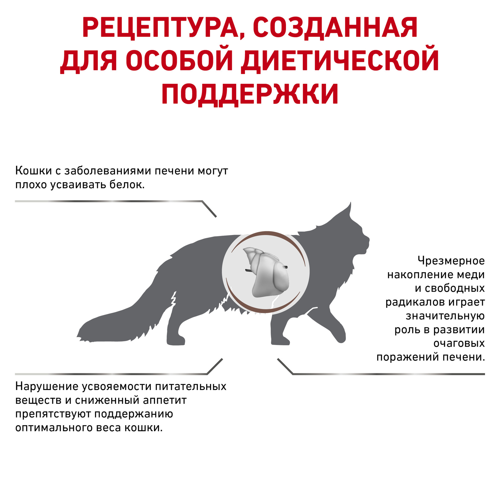 Для кошек "Лечение печени" (2 кг) Royal Canin (вет.корма) Для кошек "Лечение печени" (2 кг) - фото 3