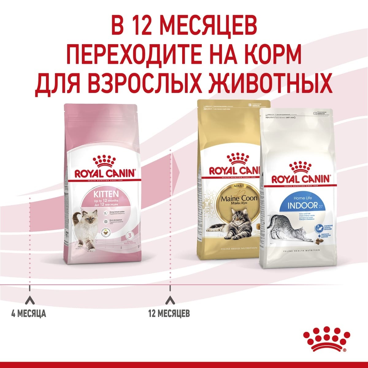 Royal Canin корм сухой полнорационный для котят в период второй фазы роста  в возрасте до 12 месяцев, роял канин для котят, royal canin для котят, роял  канин киттен, royal canin kitten, royal