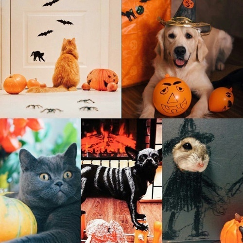 Итоги конкурса "Halloween" в Instagram