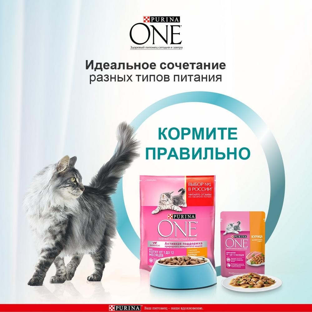 PURINA ONE паучи для котят с курицей и морковью, влажный корм для котят,  консервы для котят, паучи для котят, для котят влажный | Petshop.ru