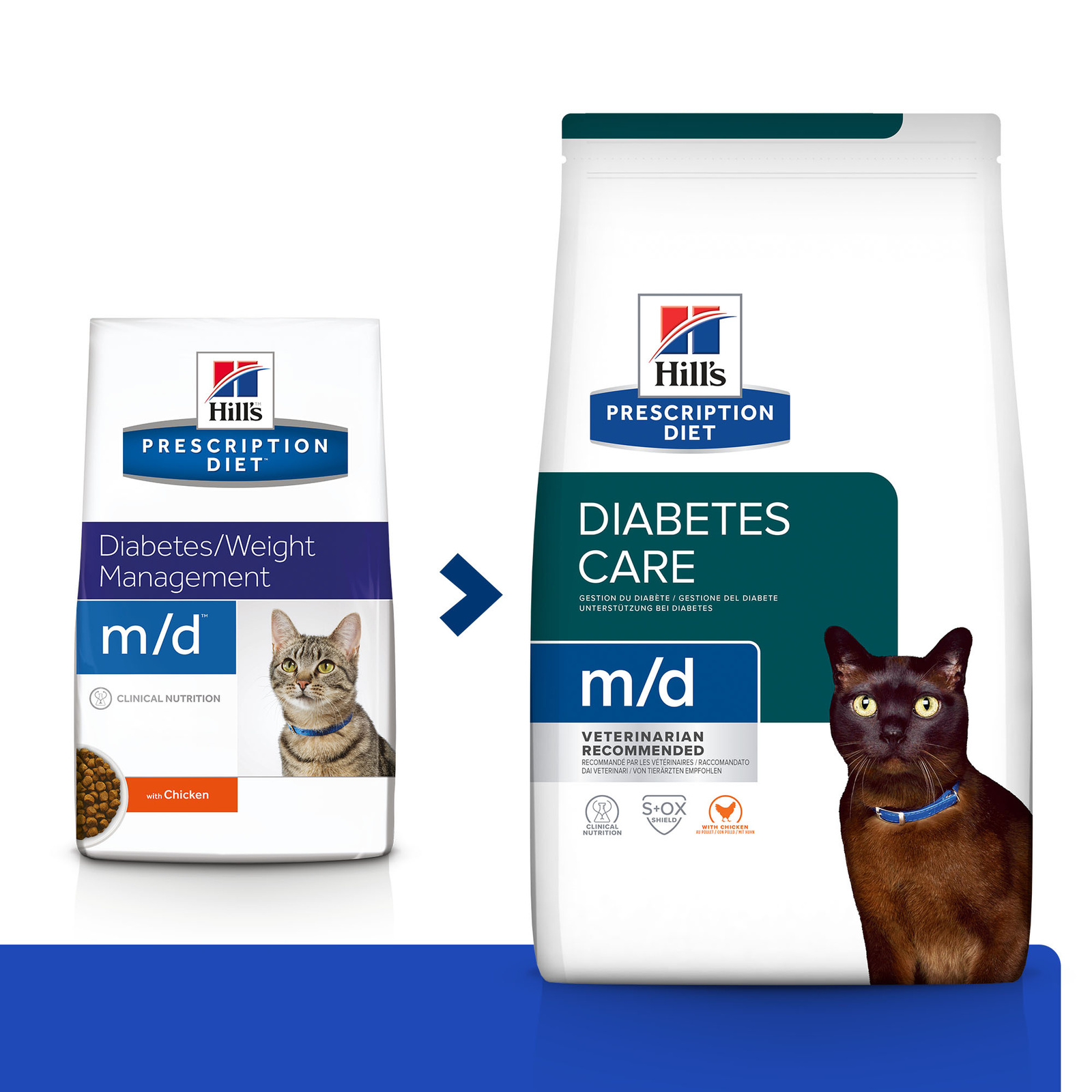 Hills diabetic dog food 2025