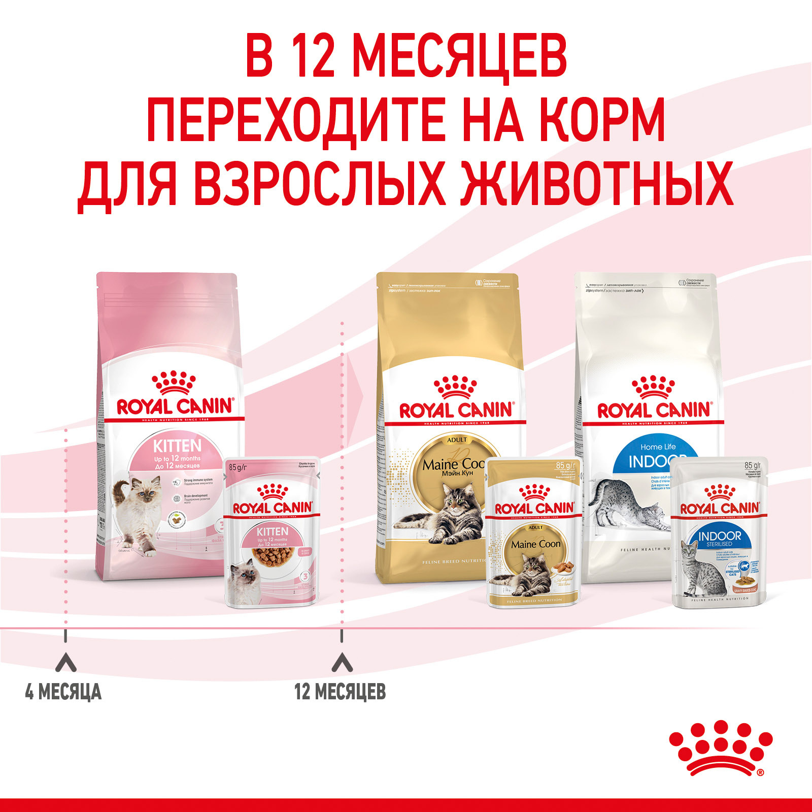 Кусочки в соусе для котят 4-12 мес. (85 г) Royal Canin (влажные корма) Кусочки в соусе для котят 4-12 мес. (85 г) - фото 9