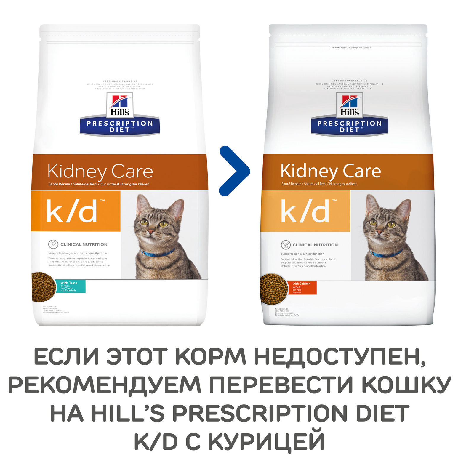 Hill s prescription diet kidney care. Hills Kidney Care k/d для кошек сухой. Hill's Prescription Diet k/d. Hill's PD K/D сухой корм для кошек при заболевании почек с тунцом 400 г. Хиллс корм сухой для кошек 1.