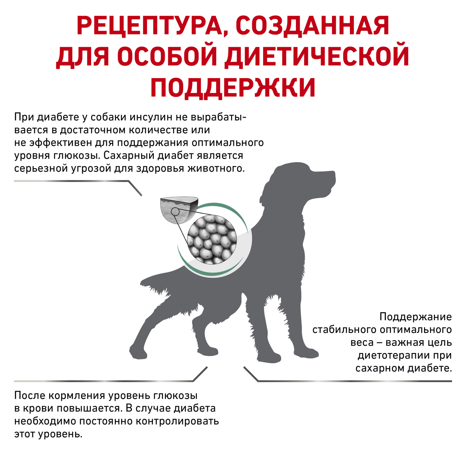 для собак при сахарном диабете (1,5 кг) Royal Canin (вет.корма) для собак при сахарном диабете (1,5 кг) - фото 3