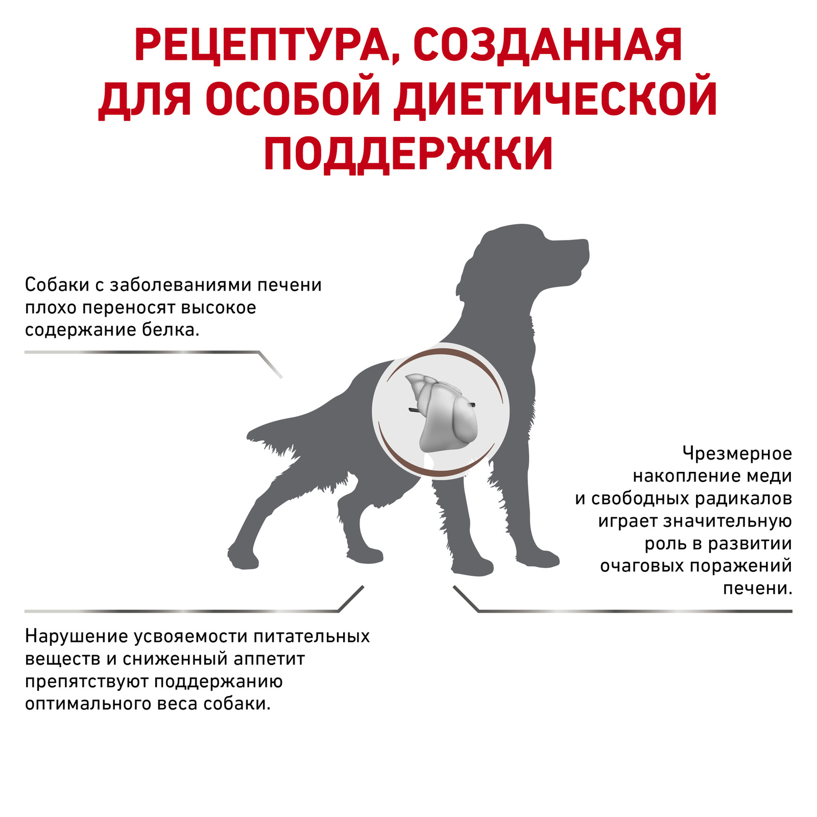 Для собак при заболеваниях печени (1,5 кг) Royal Canin (вет.корма) Для собак при заболеваниях печени (1,5 кг) - фото 3