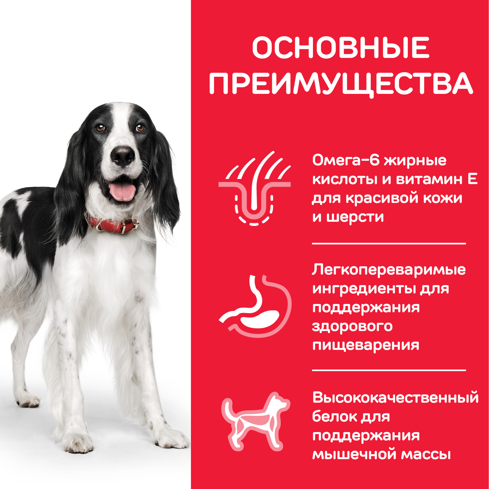сухой корм для взрослых собак средних пород для поддержания иммунитета, с тунцом и рисом (2,5 кг) Hill's Science Plan сухой корм для взрослых собак средних пород для поддержания иммунитета, с тунцом и рисом (2,5 кг) - фото 5