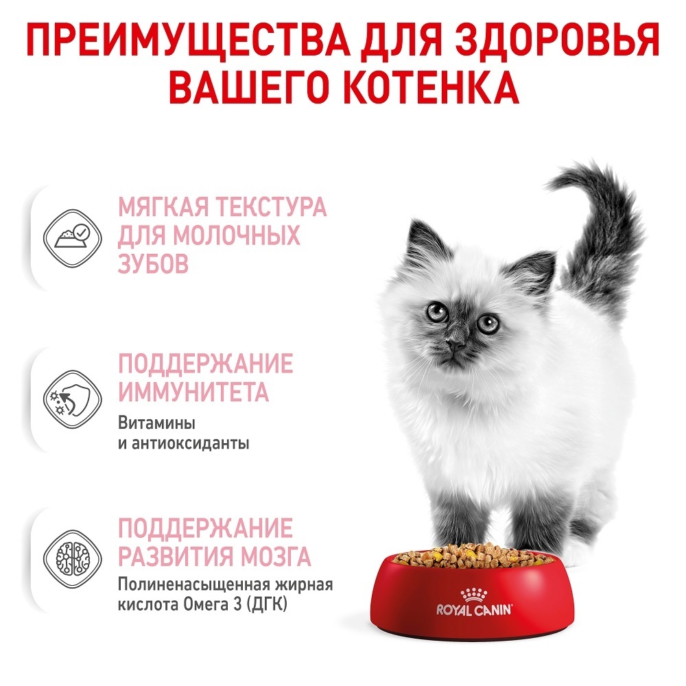 Royal Canin паучи мультипак Паучи кусочки в соусе 10 шт + Паучи кусочки в  желе 10 шт для котят 4-12 мес. , royal canin babycat, royal canin mother,  royal canin mother babycat,