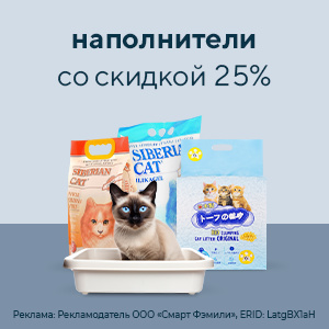 Акции на товары для кошек - в интернет-магазине