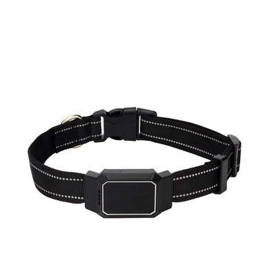 Petsee Gps Ошейник