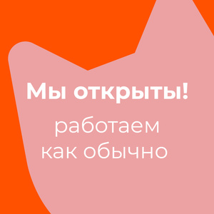 Petshop Ru Интернет Магазин Казань