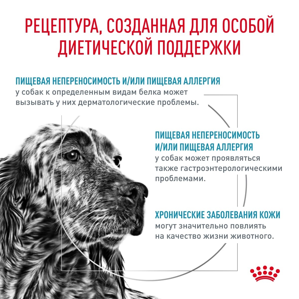 Royal Canin (вет.корма) для собак гипоаллергенный, hipoallergenic,  гипоалер, Hypoallergenic DR21, Пробаланс, Сухой гипоаллергенный корм для  собак, при аллергии, корм для собак с чувствительным пищеварением,  ветеринарный корм, гипоаллергенный, лечебные ...