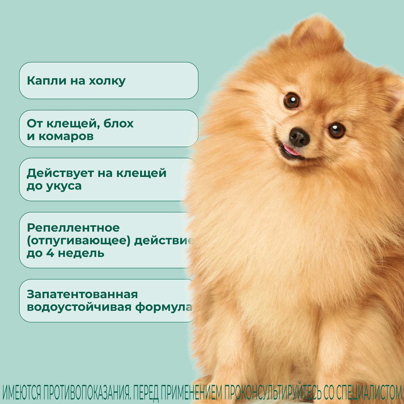 Атакса капли для собак инструкция по применению. Капли от клещей для собак атакса. От клещей собаке до 4 кг атакса как выглядит отзывы от покупателей