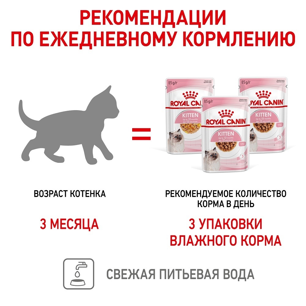 Royal Canin паучи мультипак Паучи кусочки в соусе 10 шт + Паучи кусочки в  желе 10 шт для котят 4-12 мес. , royal canin babycat, royal canin mother,  royal canin mother babycat,