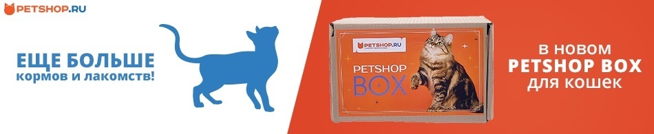 Новый PETSHOP BOX для кошек!