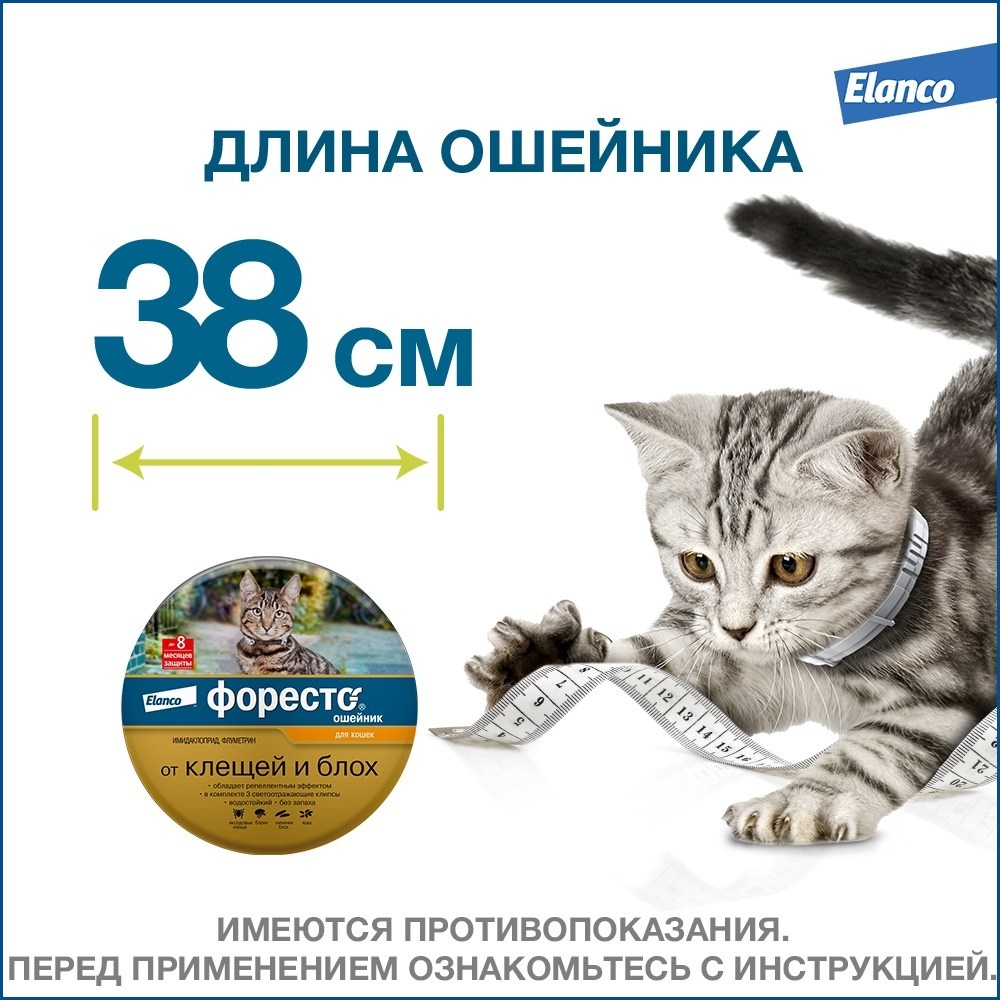 Форесто для кошек купить в москве