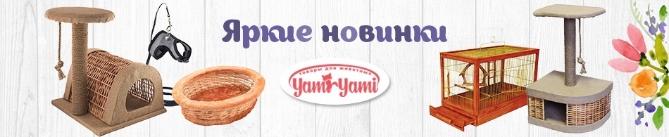 Яркие новинки Yami-Yami