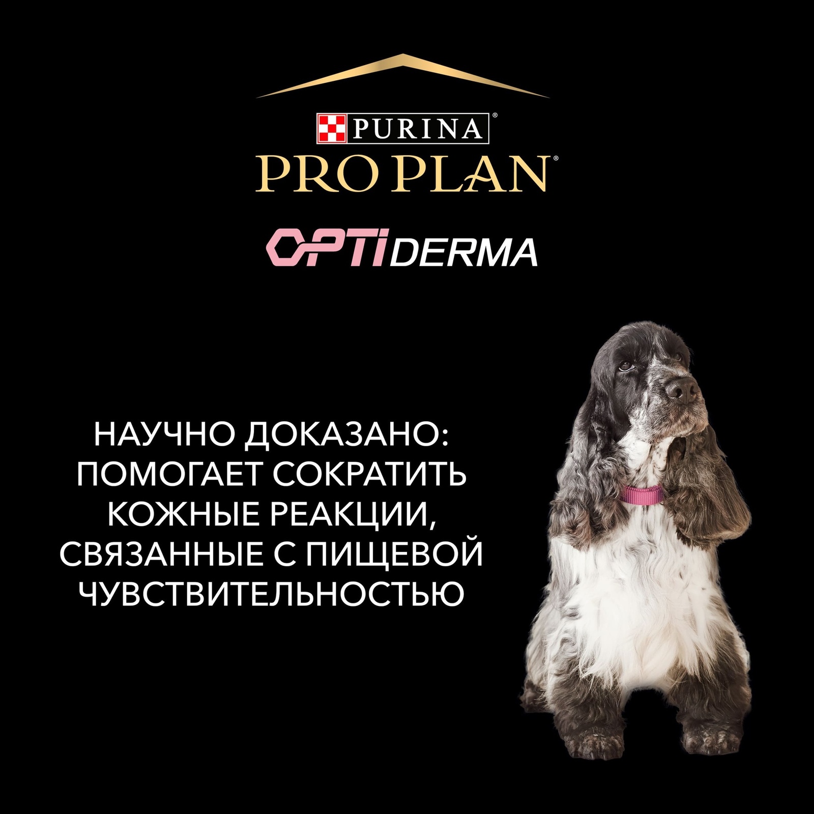 Корм Purina Pro Plan для собак старше 7 лет средних и крупных пород с чувствительной кожей, с высоким содержанием лосося (3 кг) Purina Pro Plan - фото 4