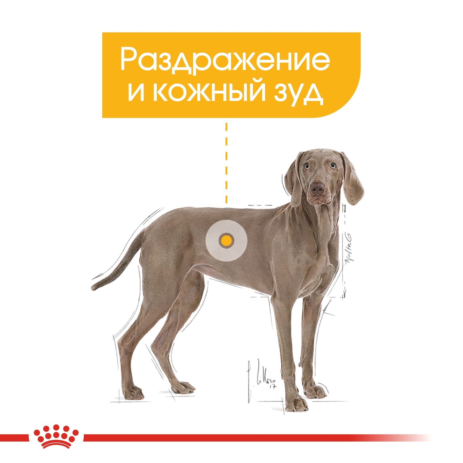 Корм для собак крупных пород, склонных к кожным раздражениям и зуду (3 кг) Royal Canin (сухие корма) Корм для собак крупных пород, склонных к кожным раздражениям и зуду (3 кг) - фото 4
