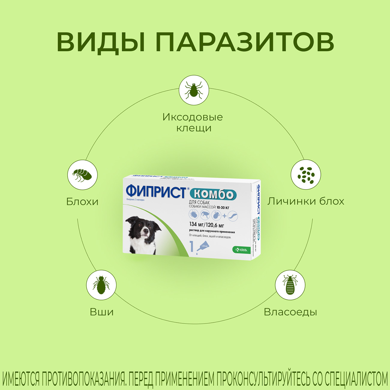 Фиприст для собак от клещей инструкция. Krka капли от блох и клещей Фиприст. Средство от клещей для собак Фиприст. Капли Фиприст для собак от клещей. Фиприст для собак отзывы