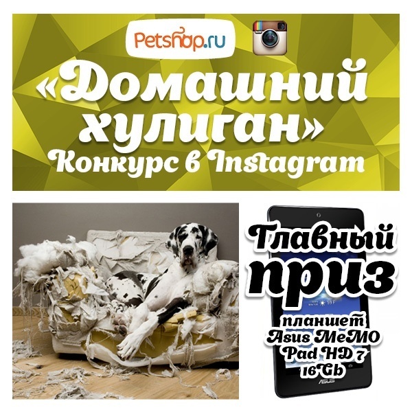 Новый конкурс в Instagram "Домашний хулиган"!