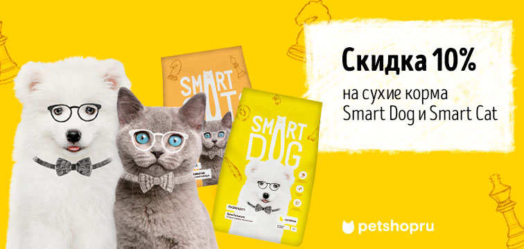 Слайд номер 13 Скидка 10% на сухие корма Smart Dog и Smart Cat