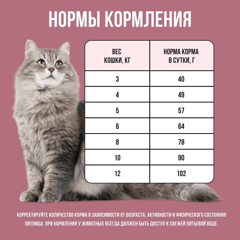 BOWL WOW сухой корм для стерилизованных кошек с индейкой и свеклой |  Petshop.ru