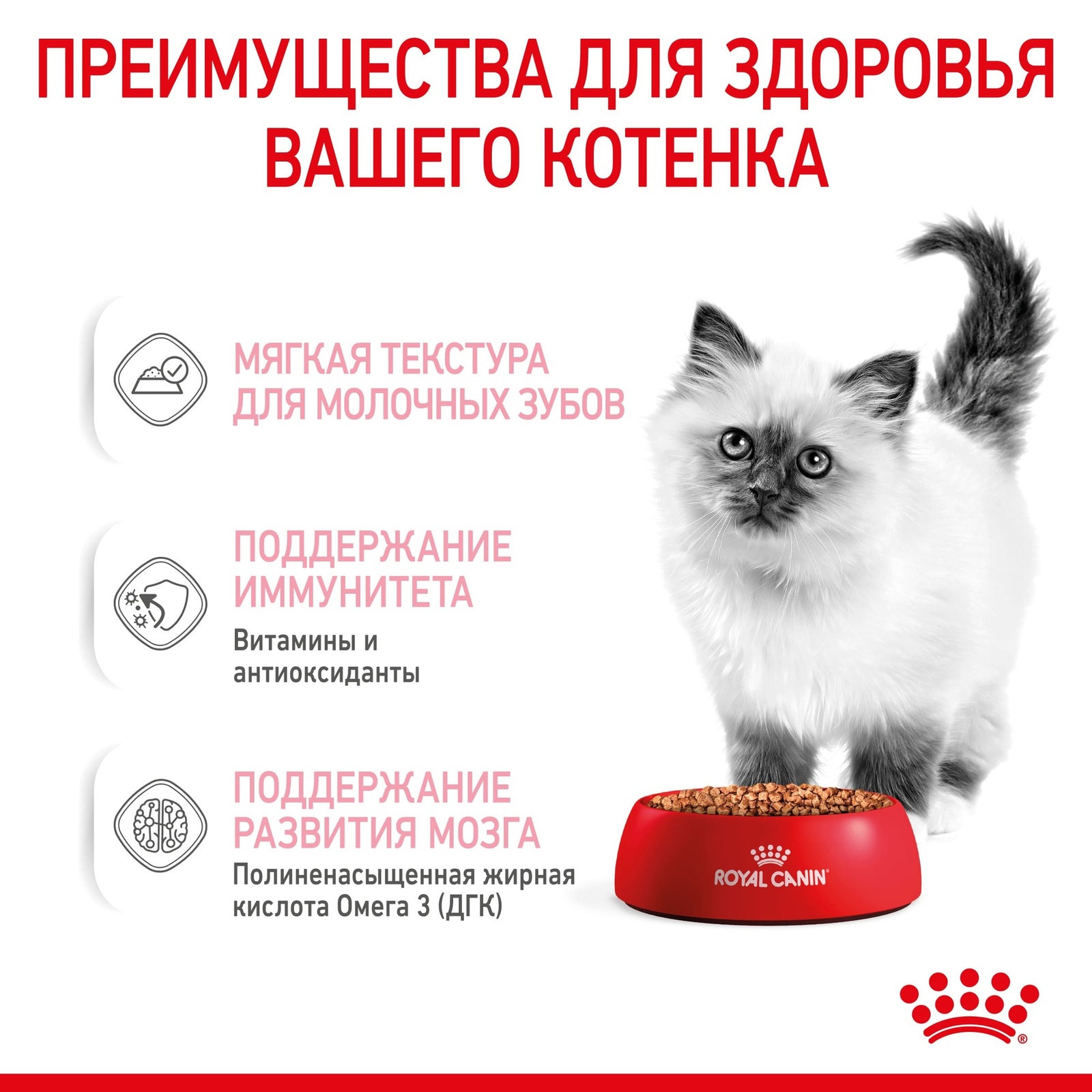 Royal Canin паучи кусочки в соусе для котят 4-12 месяцев, роял канин для  котят, royal canin для котят, роял канин киттен, royal canin kitten, royal  kitten, canin kitten, роял для котят, роял