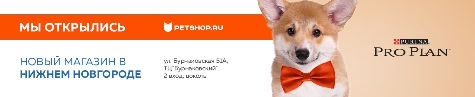 Открываем Petshop.ru в Нижнем Новгороде!