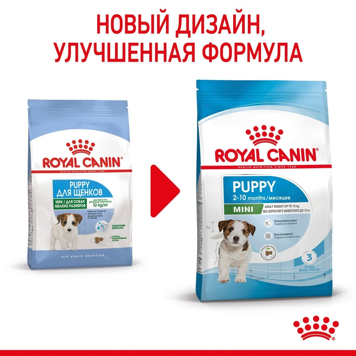 Корм Royal Canin корм сухой полнорационный для щенков мелких пород в  возрасте до 10 месяцев, роял канин для щенков, royal canin для щенков,  royal canin puppy, роял канин паппи, роял для щенков,