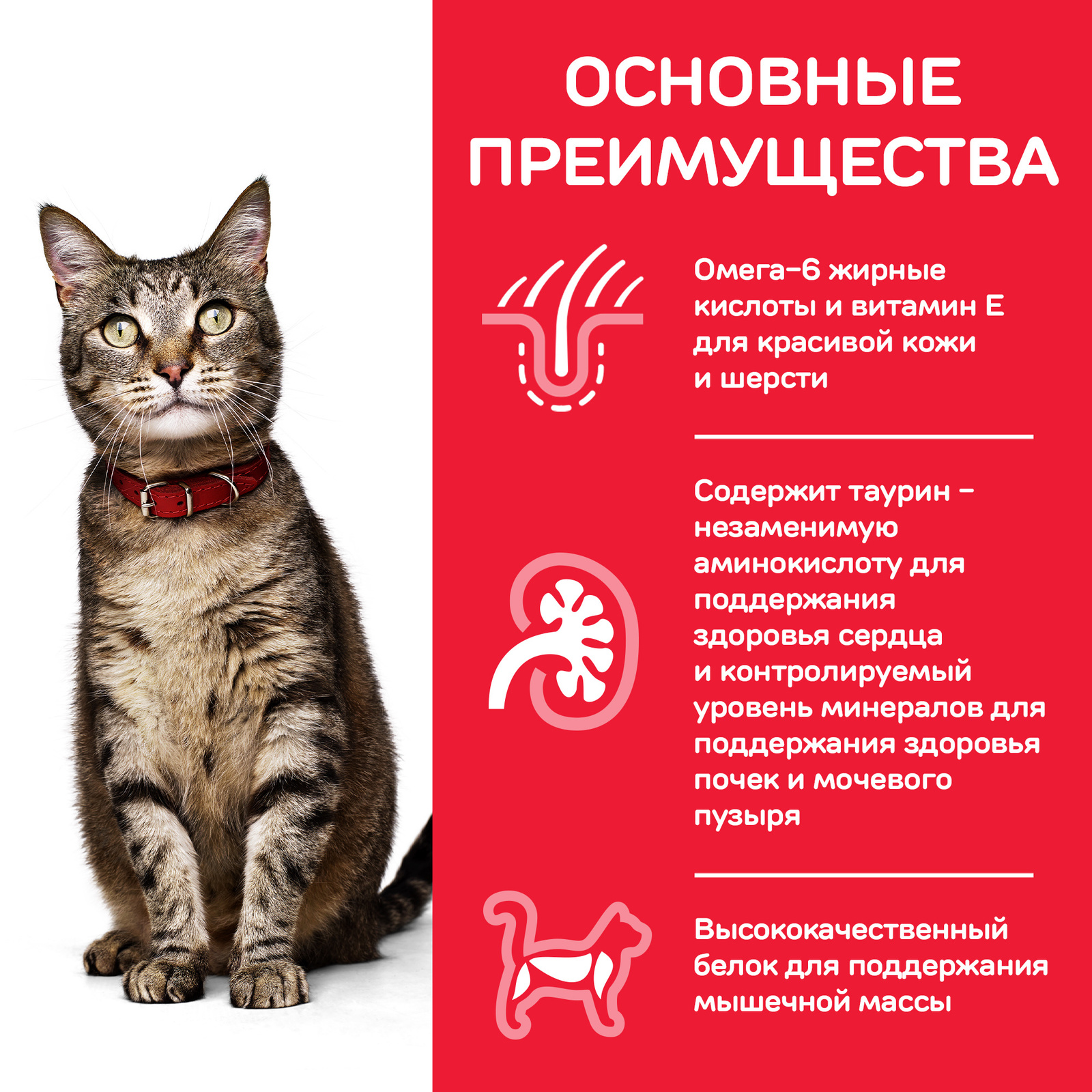 для взрослых кошек для поддержания жизненной энергии и иммунитета, с уткой (3 кг) Hill's Science Plan для взрослых кошек для поддержания жизненной энергии и иммунитета, с уткой (3 кг) - фото 4